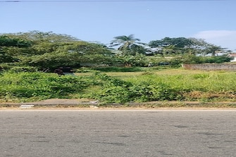 Plot For Resale in Kuttanellur Thrissur  7983429