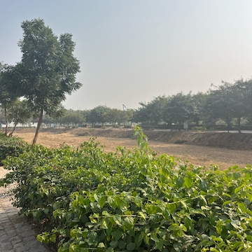 Plot For Resale in Supertech Sambhav Homes Sohna Sector 2 Gurgaon  8000530