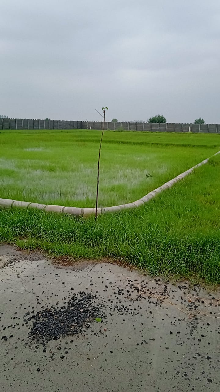 Plot For Sale in Vaidic Villaage 