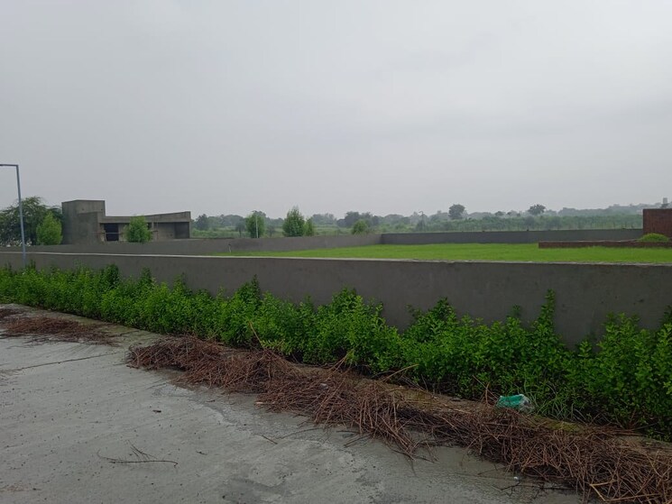undefined, vaidpura  228 Sq.Yd. Plot In Vaidpura Greater Noida 8000897