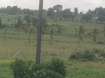 Plot For Resale in Dwaraka Nagar Bangalore  8000940