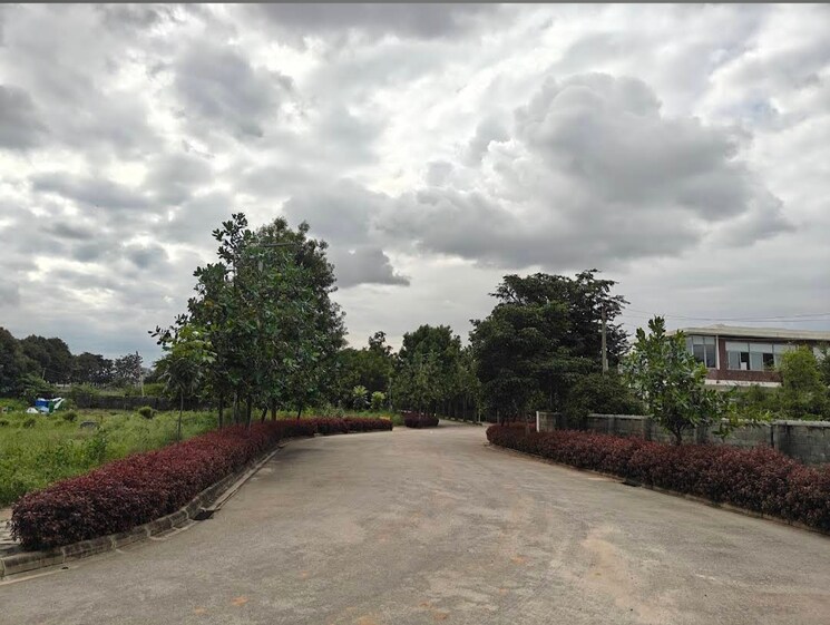 undefined, the-county-address  1616 Sq.Yd. Plot In Sarjapur Bangalore 8000971