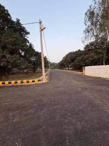  Plot – Exterior View View at Gosainganj - for Sale