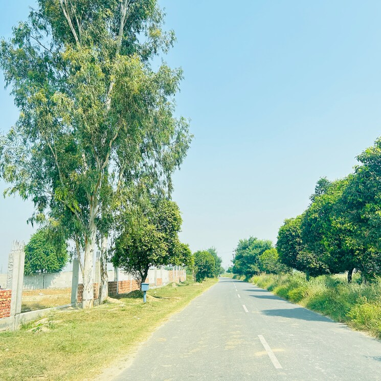 Garden, sector 27  263 Sq.Yd. Plot In Sector 27 Sonipat 8001024