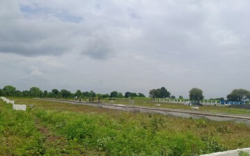 Plot For Sale in Pipla