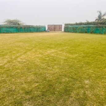 Plot For Resale in Sector 135 Noida  8001364