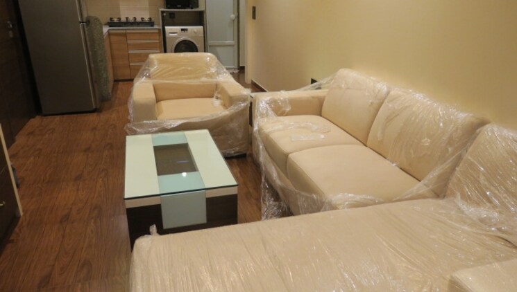 Living Room, colaba 1 Bedroom 450 Sq.Ft. Apartment In Colaba Mumbai 8001425