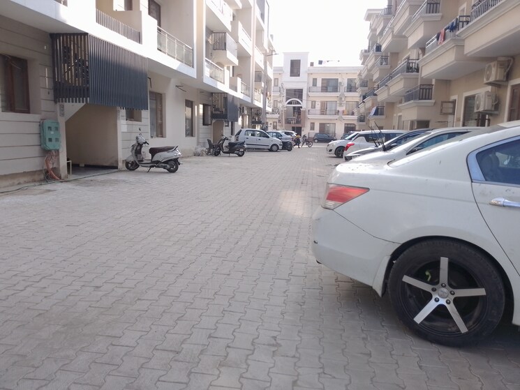  Parking, sector 123 3 Bedroom 115 Sq.Yd. Apartment In Sector 123 Mohali 8001561