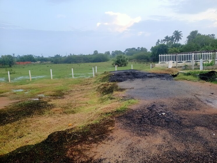 undefined, kelambakkam  650 Sq.Ft. Plot In Kelambakkam Chennai 8001520