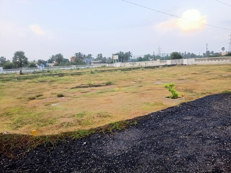 undefined, kelambakkam  650 Sq.Ft. Plot In Kelambakkam Chennai 8001520