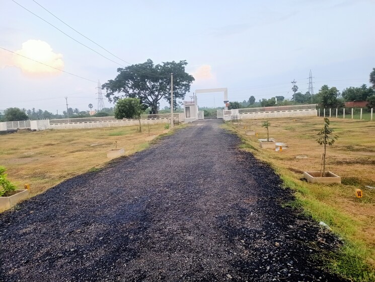 undefined, kelambakkam  650 Sq.Ft. Plot In Kelambakkam Chennai 8001520