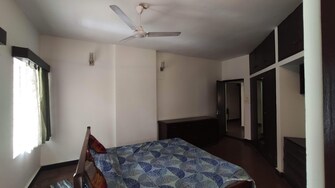 3 BHK Apartment For Rent in Naina Terrace Richmond Road Bangalore  8001529