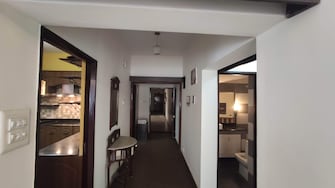 3 BHK Apartment For Rent in Naina Terrace Richmond Road Bangalore  8001529