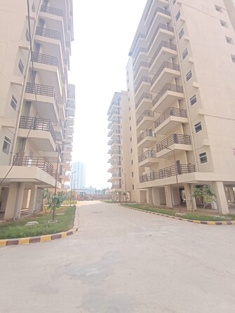 2 BHK Apartment For Rent in Pioneer Araya Sector 62 Gurgaon  8001564