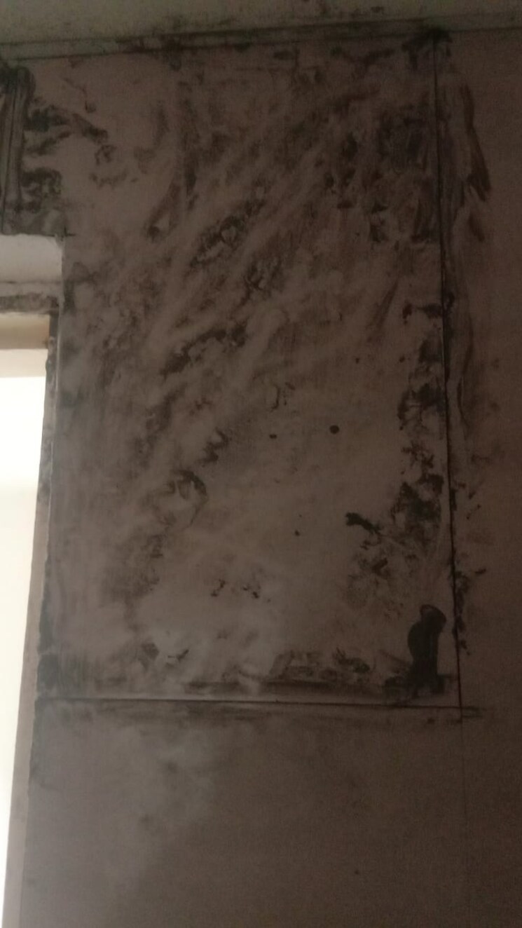 Room, sector 10 greater noida 1 Bedroom 30 Sq.Mt. Apartment In Sector 10 Greater Noida Greater Noida 8001560