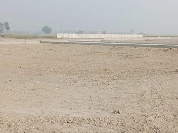 Plot For Resale in Sector 28 Faridabad  8001741