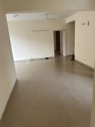 4 BHK Apartment For Rent in Tulip Purple Sector 69 Gurgaon  8001787