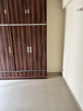 4 BHK Apartment For Rent in Tulip Purple Sector 69 Gurgaon  8001787