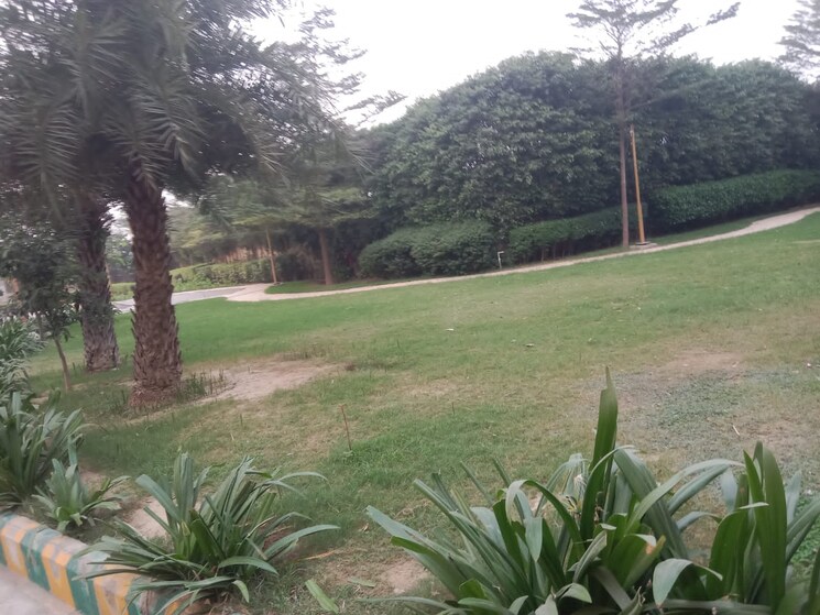 Garden, migsun-roof 2 Bedroom 894 Sq.Ft. Apartment In Raj Nagar Extension Ghaziabad 8001964