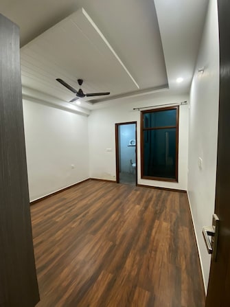 2 BHK Apartment For Rent in Ansal Plaza Sector-23 Sector 23 Gurgaon  8002098