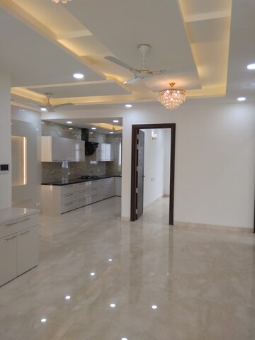 3 BHK Builder Floor For Rent in Ansal Sushant Lok I Sector 43 Gurgaon  8002195