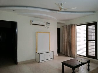 2 BHK Apartment For Rent in RWA Apartments Sector 19 Sector 19 Noida  8002251