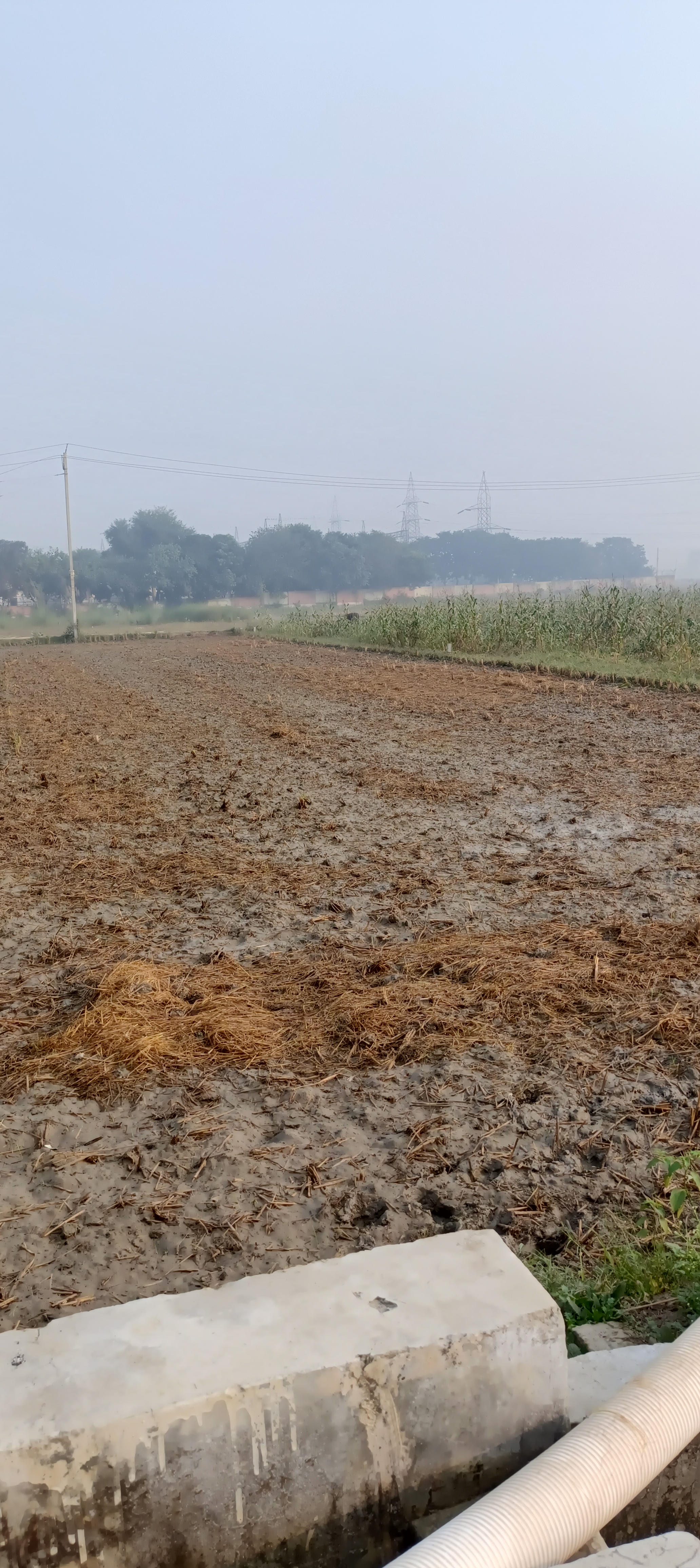 Plot For Sale in Owner 