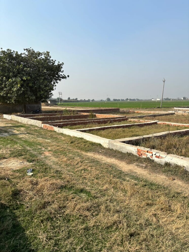 undefined, bkr-bhopani-plots  75 Sq.Yd. Plot In Neharpar Faridabad 8002294