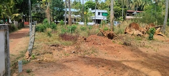 Plot For Resale in Puzhakkal Thrissur  8002284