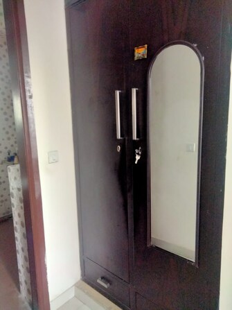 3 BHK Apartment For Rent in SS The Coralwood Sector 84 Gurgaon  8002374