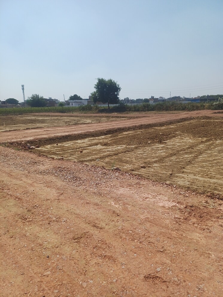 undefined, bhopani  60 Sq.Yd. Plot In Bhopani Faridabad 8002617