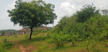  Plot – Exterior View View at Agrasen Nagar Society - for Sale