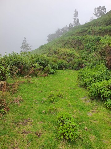  Plot – Exterior View View at Kodaikanal - for Sale
