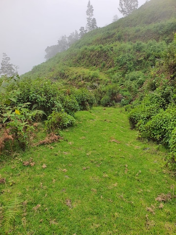 Plot For Resale in Kodaikanal Dindigul  8002797