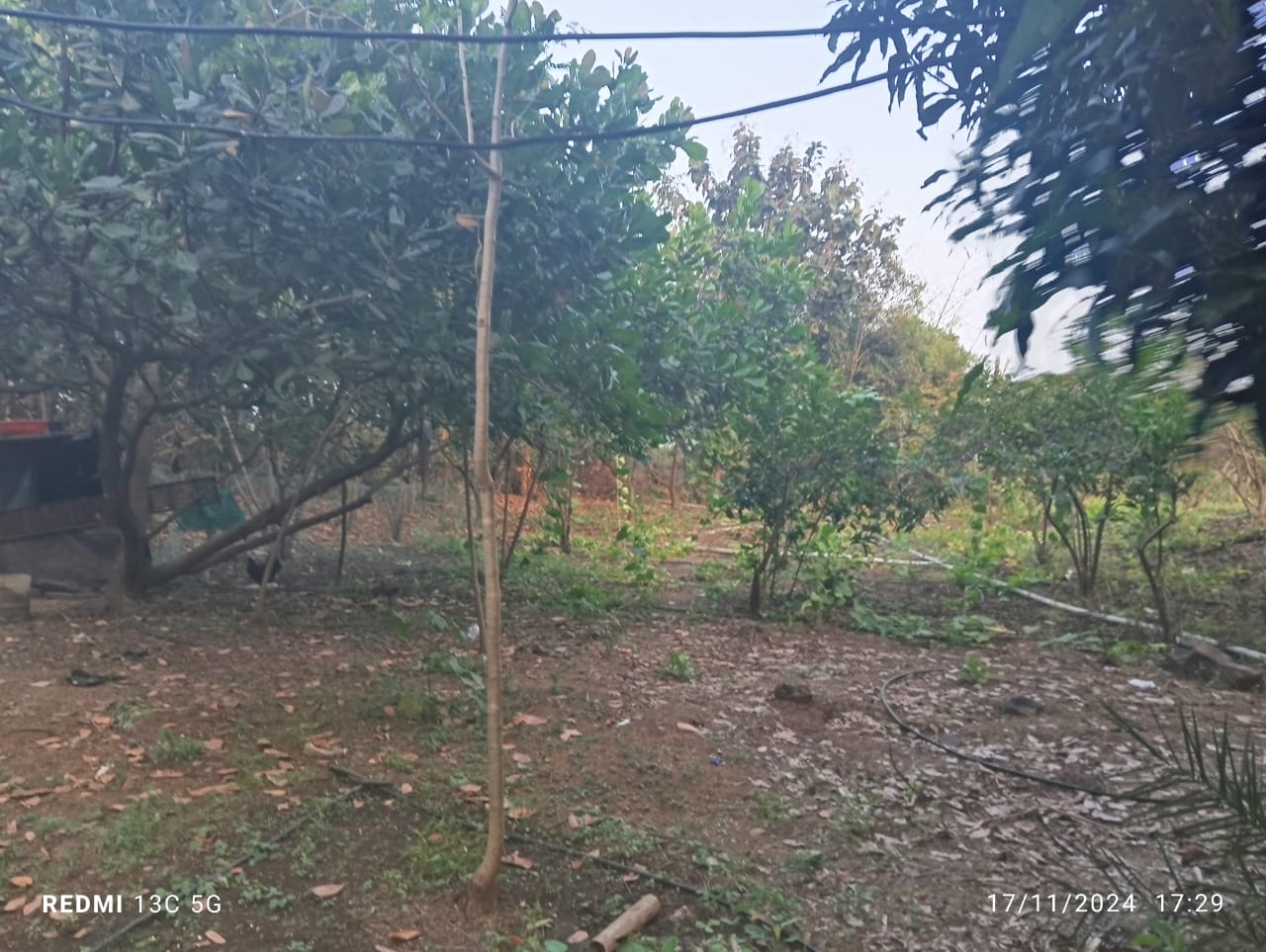 Industrial Plot For Sale in Mindspace