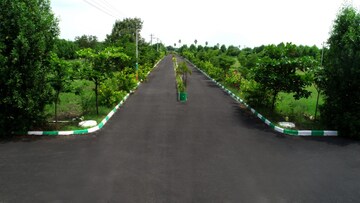 Plot – Exterior View View at Bhongiri Warangal Highway - for Sale