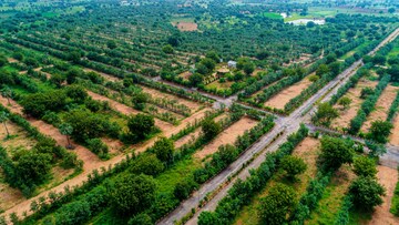  Plot – Garden View at Bhongiri Warangal Highway - for Sale