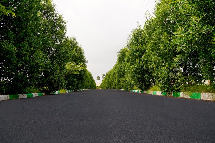 Garden, bhongiri warangal highway  500 Sq.Yd. Plot In Bhongiri Warangal Highway Hyderabad 8003255