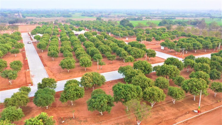 Garden, bhongiri warangal highway  500 Sq.Yd. Plot In Bhongiri Warangal Highway Hyderabad 8003255