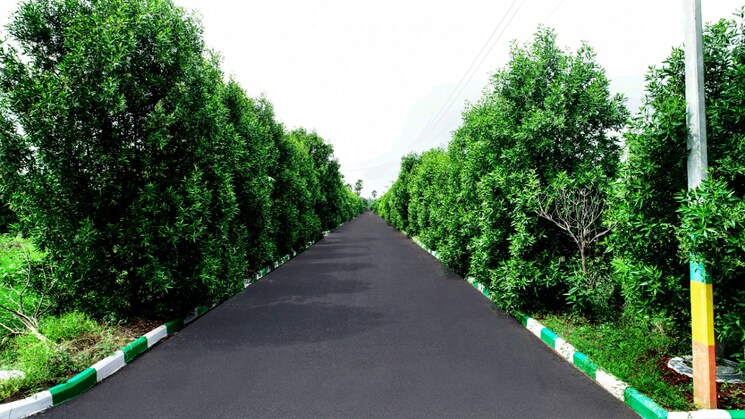 Garden, bibinagar  150 Sq.Yd. Plot In Bibinagar Hyderabad 8003400