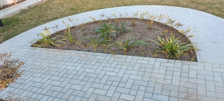 Exterior View, maharajpura  166 Sq.Yd. Plot In Maharajpura Jaipur 8003398