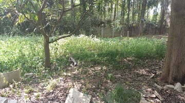 Plot Area in  Plot at Ramanashree California Garden, Yelahanka – for Sale