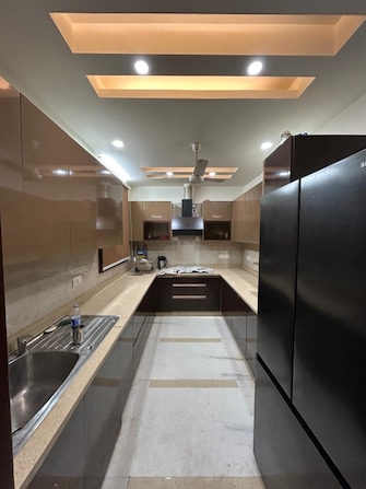 4 BHK Builder Floor For Rent in Boutique Residential Apartments E-335 East Of Kailash Delhi  8003543