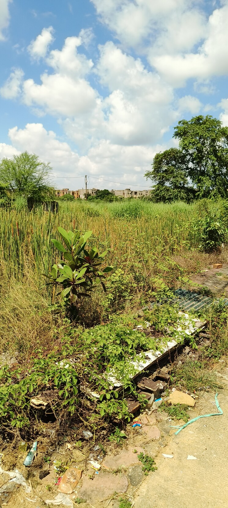 Exterior View, deopuri  1265 Sq.Ft. Plot In Deopuri Raipur 8003558