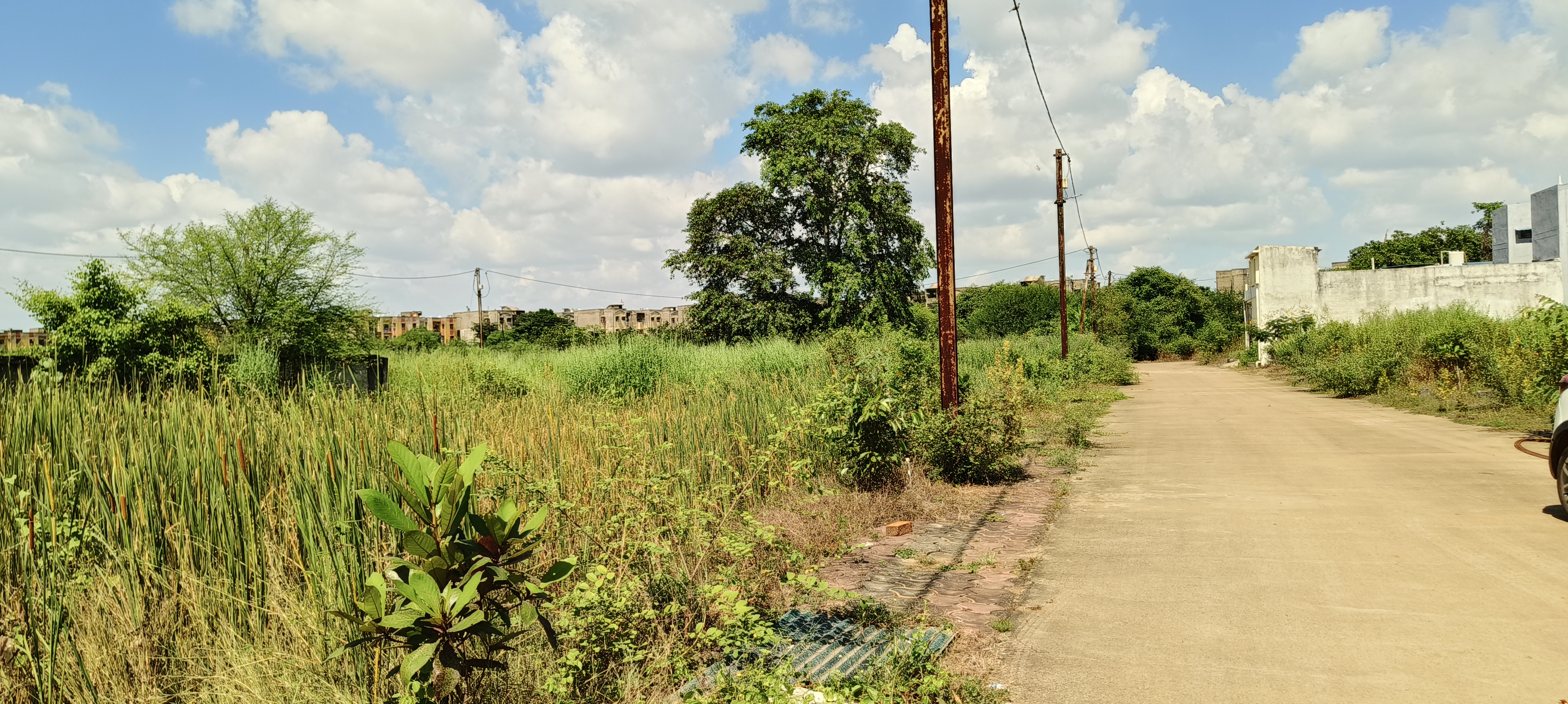 Plot For Sale in Lotus Park