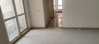 2 BHK Apartment For Rent in Jaypee Greens Kosmos Sector 134 Noida  8003580