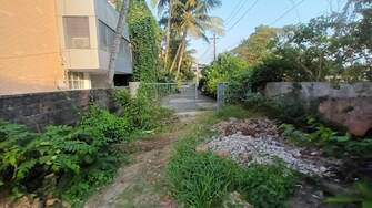 Plot For Resale in Panampilly Nagar Kochi  8003595