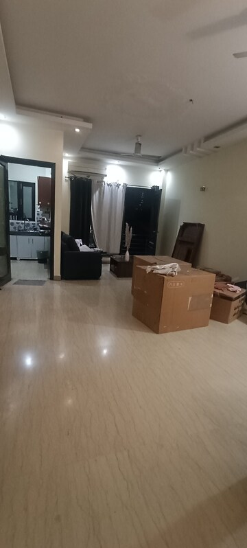 2.5 BHK Builder Floor For Rent in Chittaranjan Park Delhi  8003691