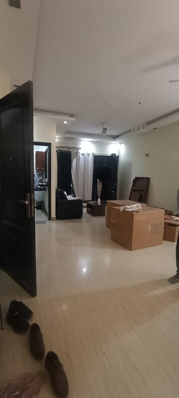 2.5 BHK Builder Floor For Rent in Chittaranjan Park