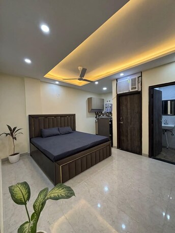 3 BHK Builder Floor For Rent in Ansal Plaza Sector-23 Sector 23 Gurgaon  8003713